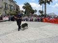 3° Giornata legalità 2011 Reparto artificieri e cinofilo dei Carabinieri