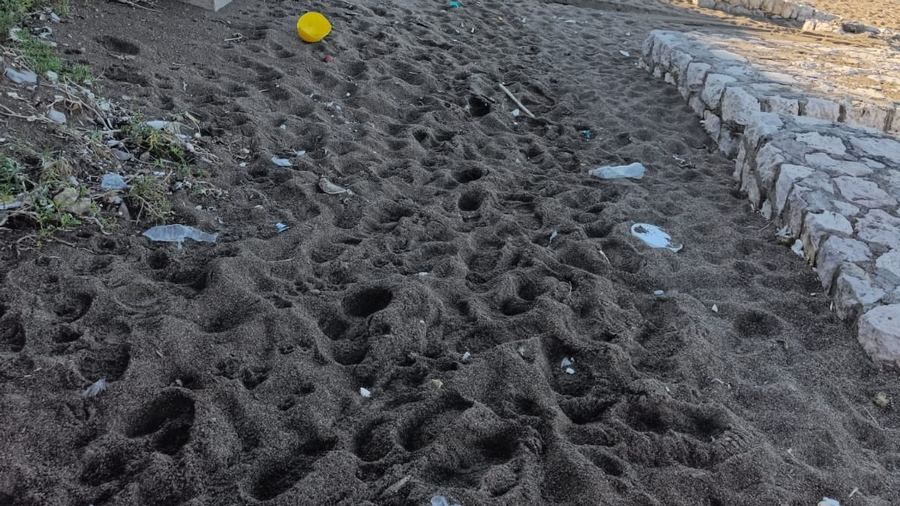 Violenza sessuale sulla spiaggia, un 33enne ai domiciliari