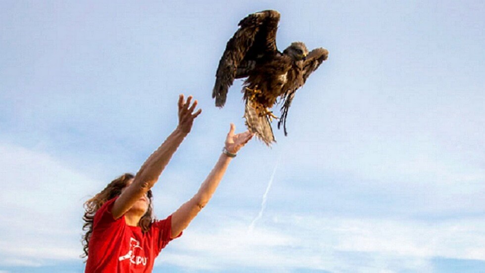 Sabato mattina riprendono le attivit del gruppo Grotta Mazzamuto