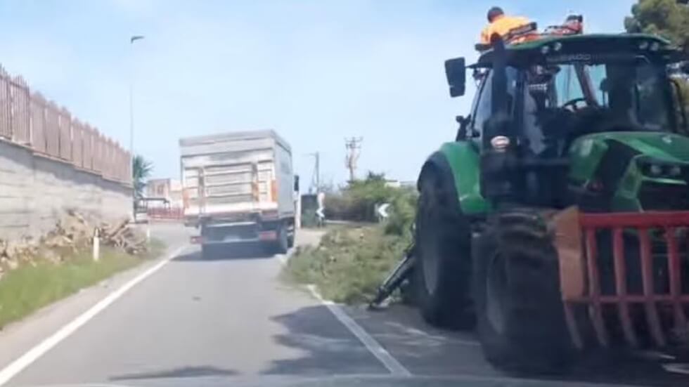 Abbattuti una decina di pini marittimi sulla strada Statale 113