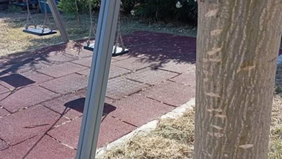 Vandali danneggiano gli alberelli del Parco di Piano Madonna: l�appello dei volontari