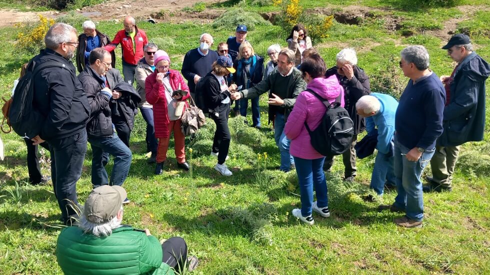 Alla ricerca delle verdure spontanee di Sicilia