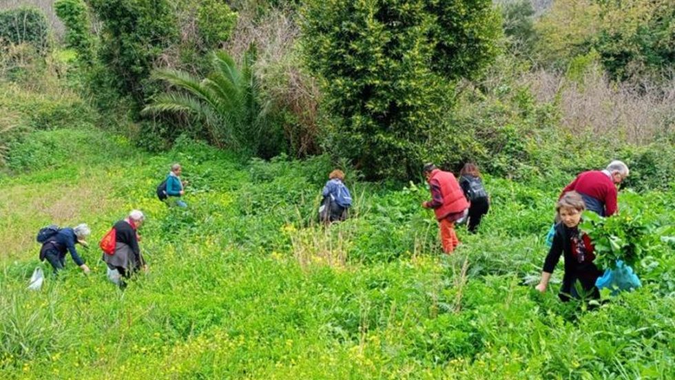 �Intorno al camino�: scoperta delle piante alimentari della Riserva di Pizzo Cane e Trigna