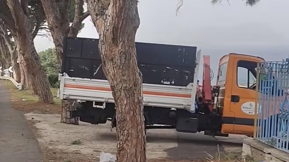 Sospeso l�abbattimento degli alberi sulla SS113 dopo l�incontro tra il sindaco e Anas